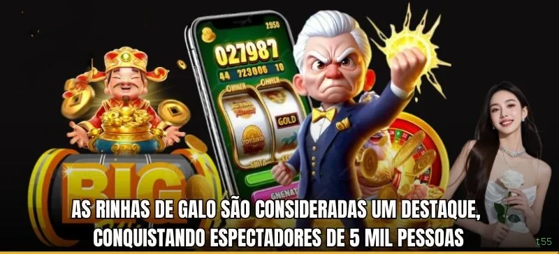 Promoções Sazonais t55
